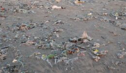 Abaixo-assinado apoia ‘Projeto de Lei’ sobre poluição plástica nos oceanos; saiba como assinar