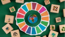 Apenas 35% dos Objetivos de Desenvolvimento Sustentável (ODS) estão no caminho certo