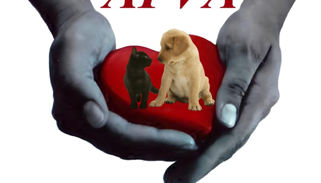 logo-apava1