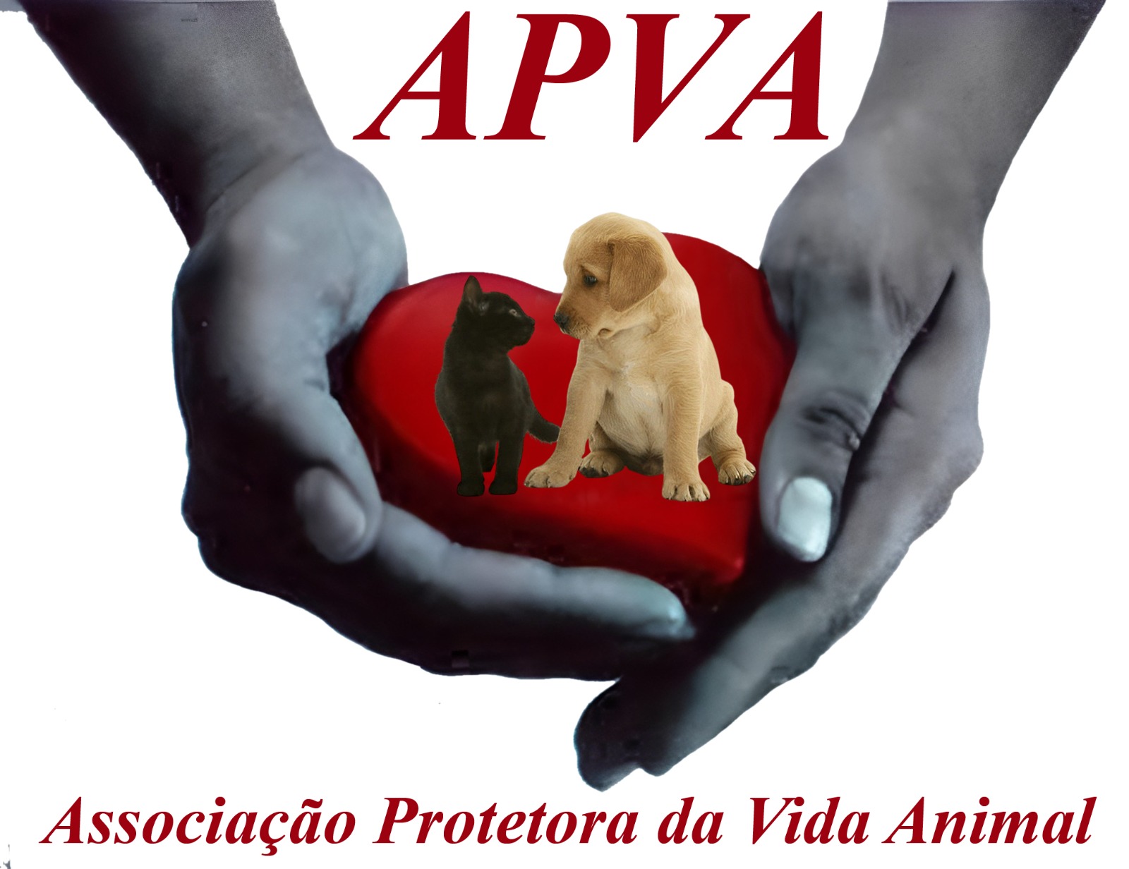 logo-apava1