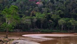 Fundo Brasil seleciona projetos para justiça socioambiental na Bacia do Rio Doce
