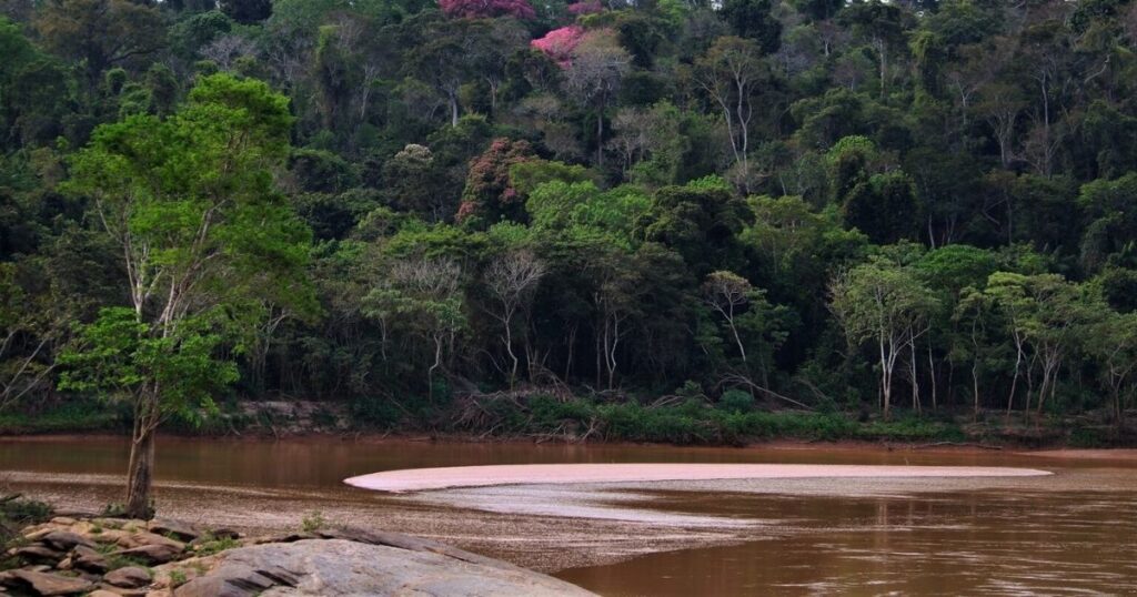 Fundo Brasil seleciona projetos para justiça socioambiental na Bacia do Rio Doce