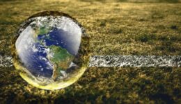 Sustentabilidade no esporte é tema em fórum no Museu do Futebol