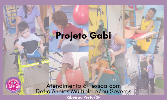 Projeto-Gabi