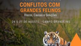 Workshop-Internacional-Grandes-Felinos_Folder