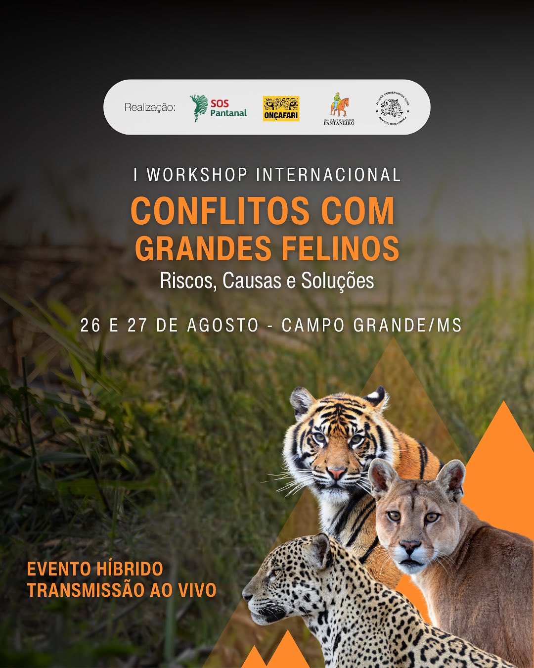 Workshop-Internacional-Grandes-Felinos_Folder