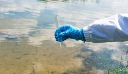 Perigo invisível: água contaminada e falta de saneamento matam milhares no Brasil