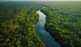 um-rio-atravessa-selva-1