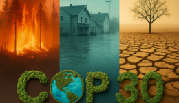 Resiliência climática: o assunto que precisa ganhar centralidade na COP30