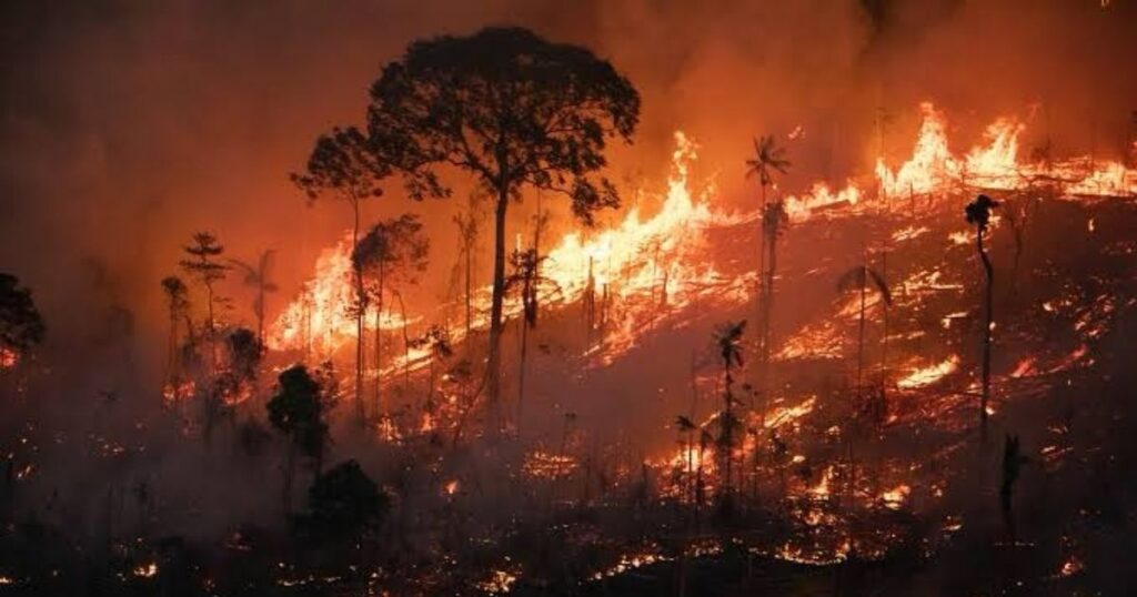 Incêndios na Amazônia em 2024 provocam pior degradação da qualidade do ar da década