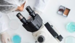 Startup desenvolve biocurativo 3D com células-tronco para tratar queimaduras e feridas crônicas