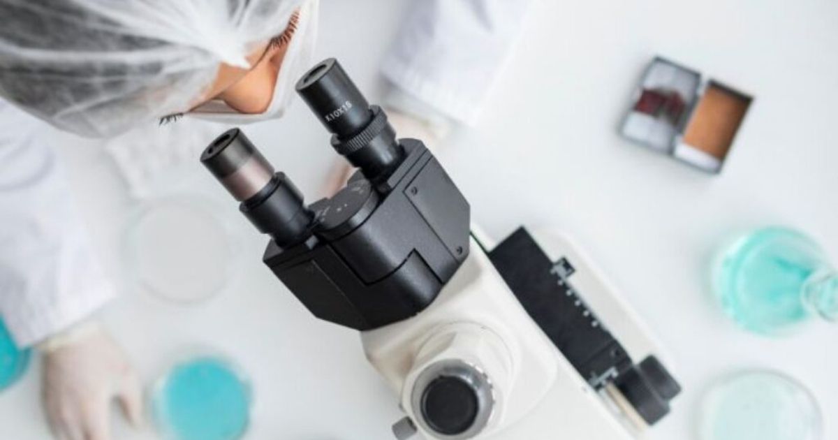 Startup desenvolve biocurativo 3D com células-tronco para tratar queimaduras e feridas crônicas