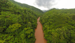 Aerial view of forest the river during summer day. The ship with