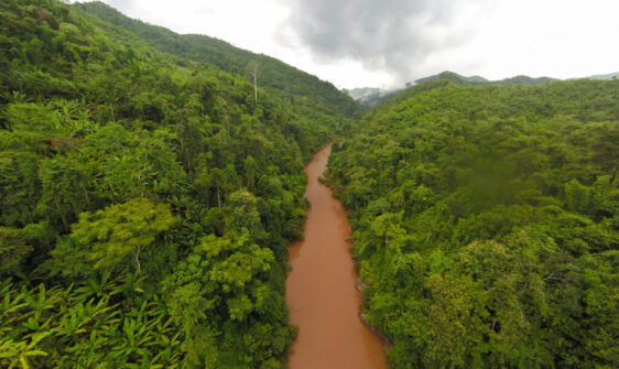 Aerial view of forest the river during summer day. The ship with