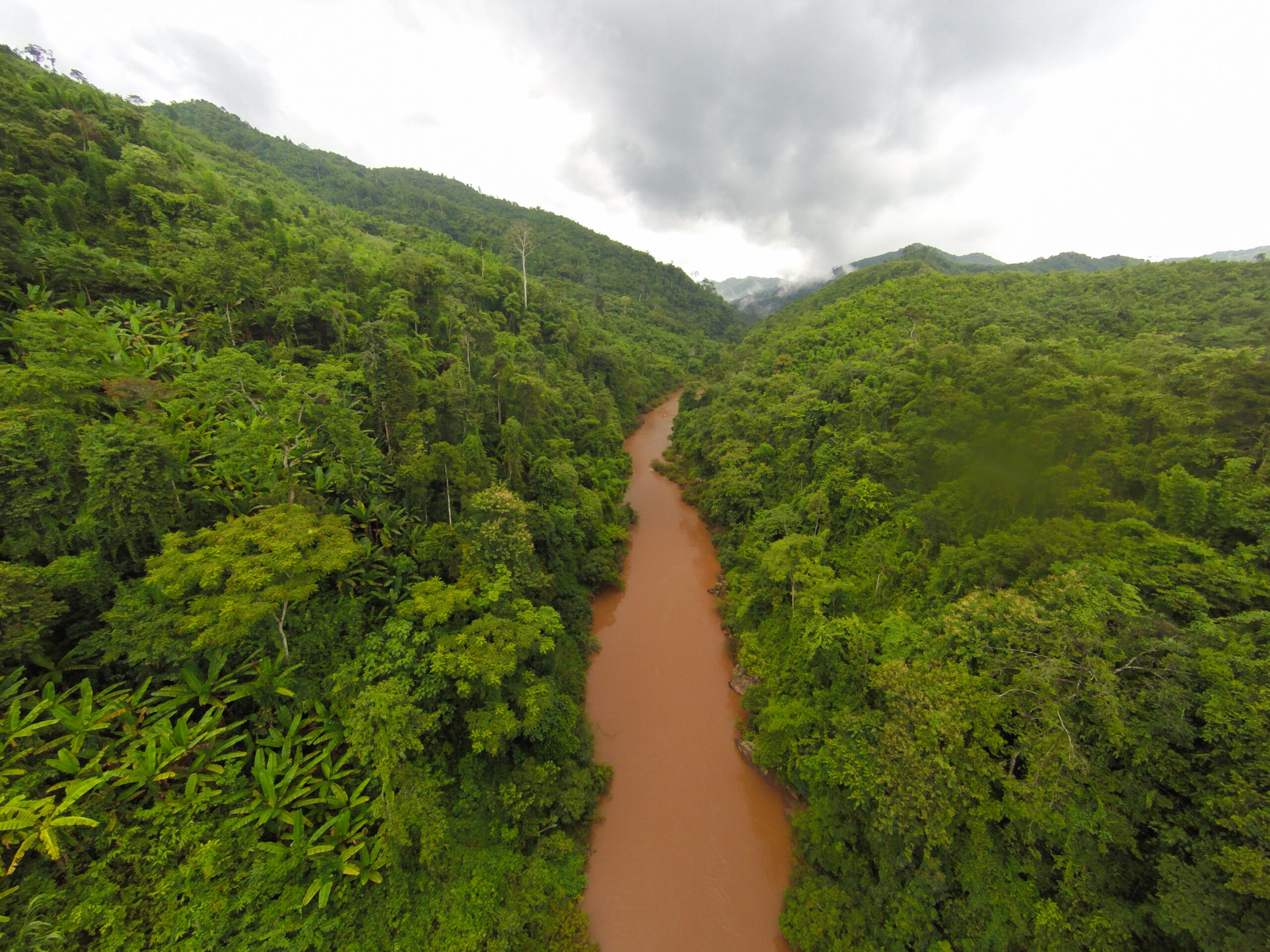 Aerial view of forest the river during summer day. The ship with
