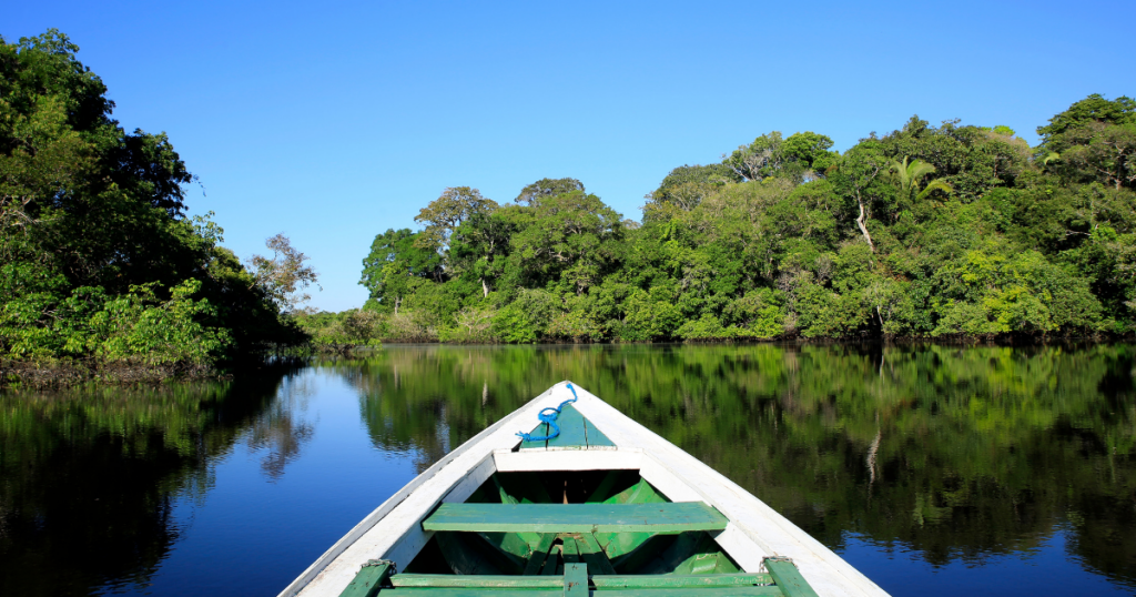 Dia da Amazônia: organizações reforçam compromisso com a floresta e seus povos