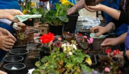 Terminam hoje as inscrições para curso gratuito de jardinagem em São Paulo