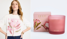 Le-Lis-Protea