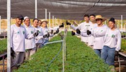 Viveiro florestal da Black Jaguar abre portas para visitas educativas em Santana do Araguaia