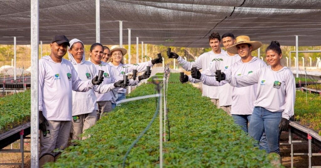 Viveiro florestal da Black Jaguar abre portas para visitas educativas em Santana do Araguaia