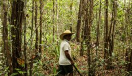 Fundo Ecos lança edital para apoiar projetos sustentáveis nos biomas Cerrado e Caatinga