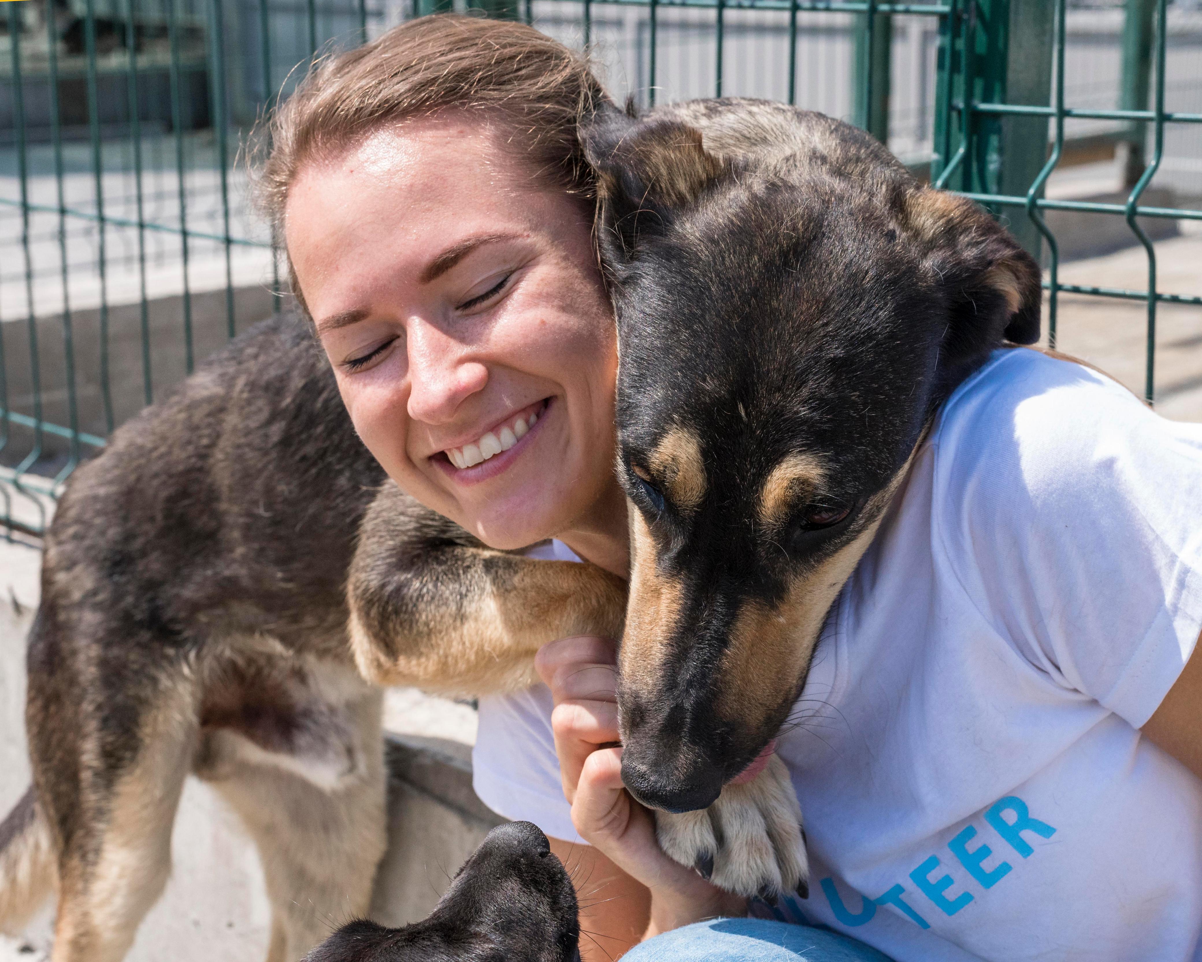 Edital Animal apoia ONGs de proteção animal em São Paulo