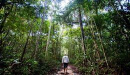 Edital apoia criação e consolidação de reservas naturais no litoral do Paraná