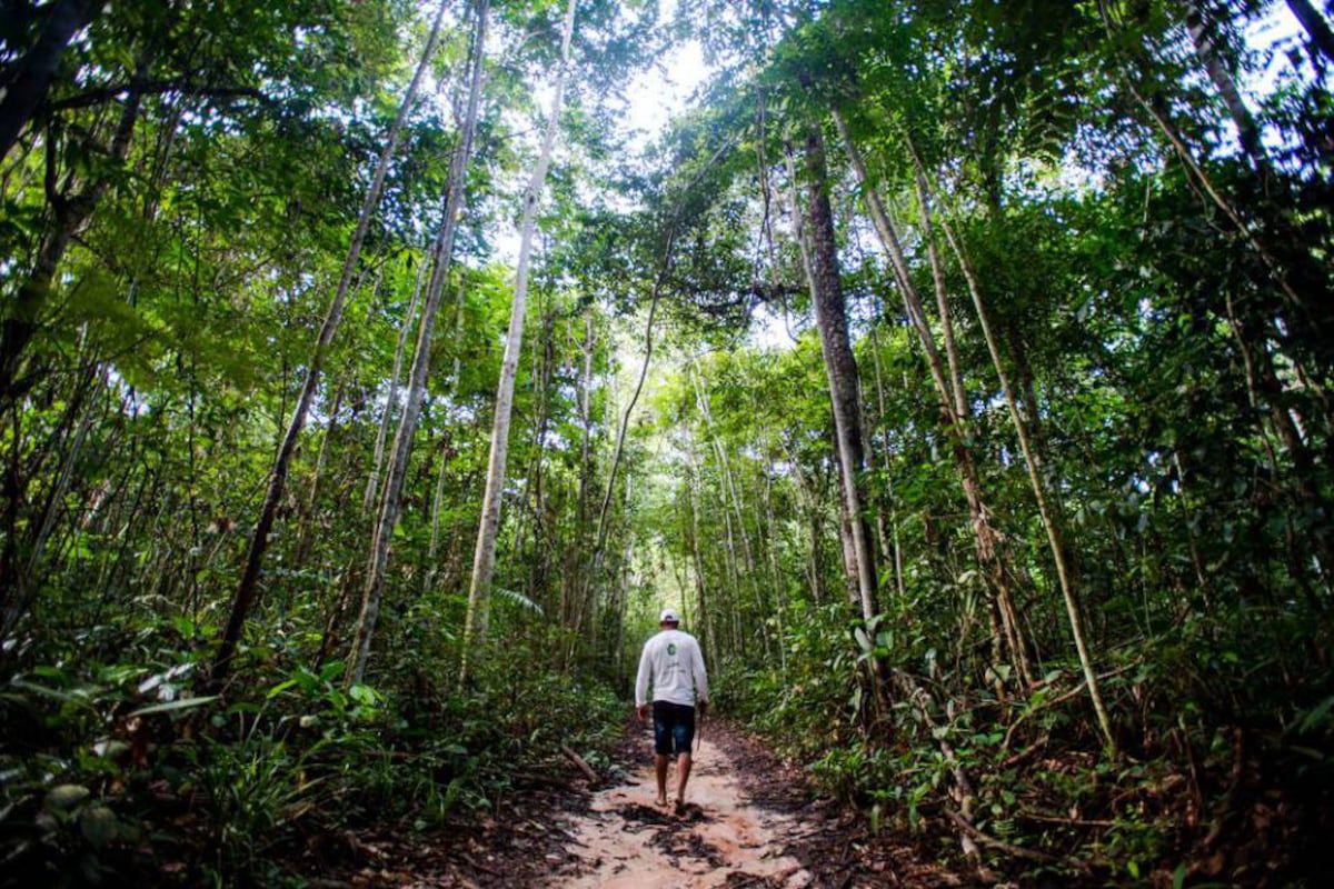 Edital apoia criação e consolidação de reservas naturais no litoral do Paraná