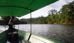 Banco da Amazônia lança edital de patrocínio para projetos culturais, sociais e ambientais