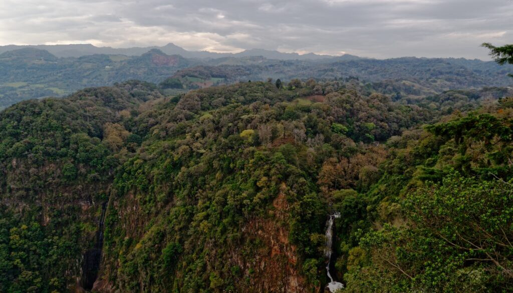 Mountainous forest with a waterfall during daytime