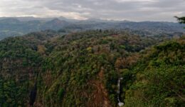 Mountainous forest with a waterfall during daytime