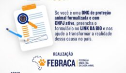FEBRACA-Relatorio
