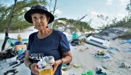 Instituto Voz dos Oceanos leva a pauta da preservação marinha para a COP30 em Belém