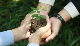Fundo Casa Socioambiental abre edital para projetos de sociobiodiversidade