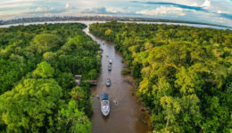 Pesquisadora lança guia para orientar parcerias internacionais com povos da Amazônia