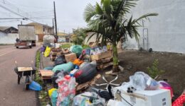 ONG de Curitiba já retirou mais de 30 toneladas de material reciclável das ruas