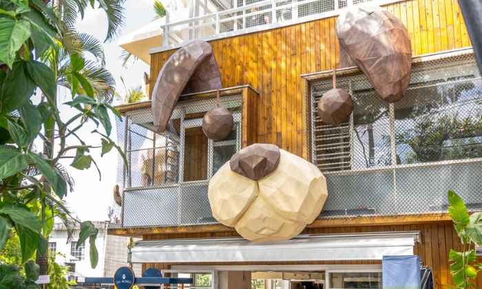 CasAdote: OSCs inauguram primeiro centro permanente de adoção de pets no Brasil