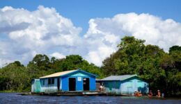 Projeto Sociobioeconomia na Amazônia abre inscrições para o Edital Prospera Sociobio