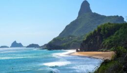 BNDES abre chamada pública para projetos de conservação de aves marinhas em ilhas brasileiras