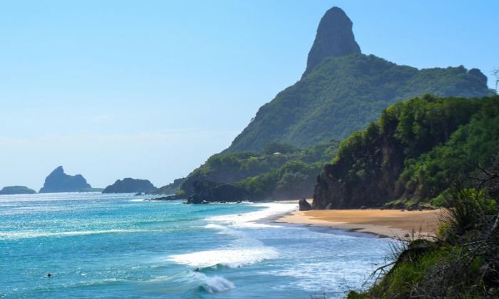 BNDES abre chamada pública para projetos de conservação de aves marinhas em ilhas brasileiras