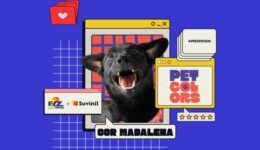 Cães de abrigos inspiram catálogo de tintas em campanha contra o abandono animal no Paraná