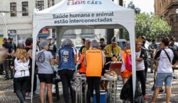Aniversário de SP tem castração solidária com apoio da Pizza da Mooca