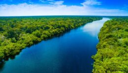 Edital Prospera Sociobio abre inscrições para criação de Núcleos de Desenvolvimento da Sociobioeconomia na Amazônia