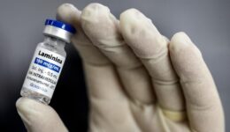 Medicamento brasileiro pode revolucionar tratamento de lesões na medula espinhal