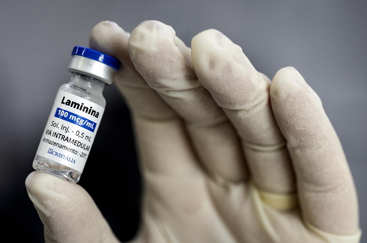 Medicamento brasileiro pode revolucionar tratamento de lesões na medula espinhal
