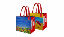 AACD e Artistas do Brasil vendem mais de 300 mil ecobags ilustradas por pacientes