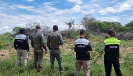 Operação identifica mais de 10 mil hectares de desmatamento ilegal na Caatinga