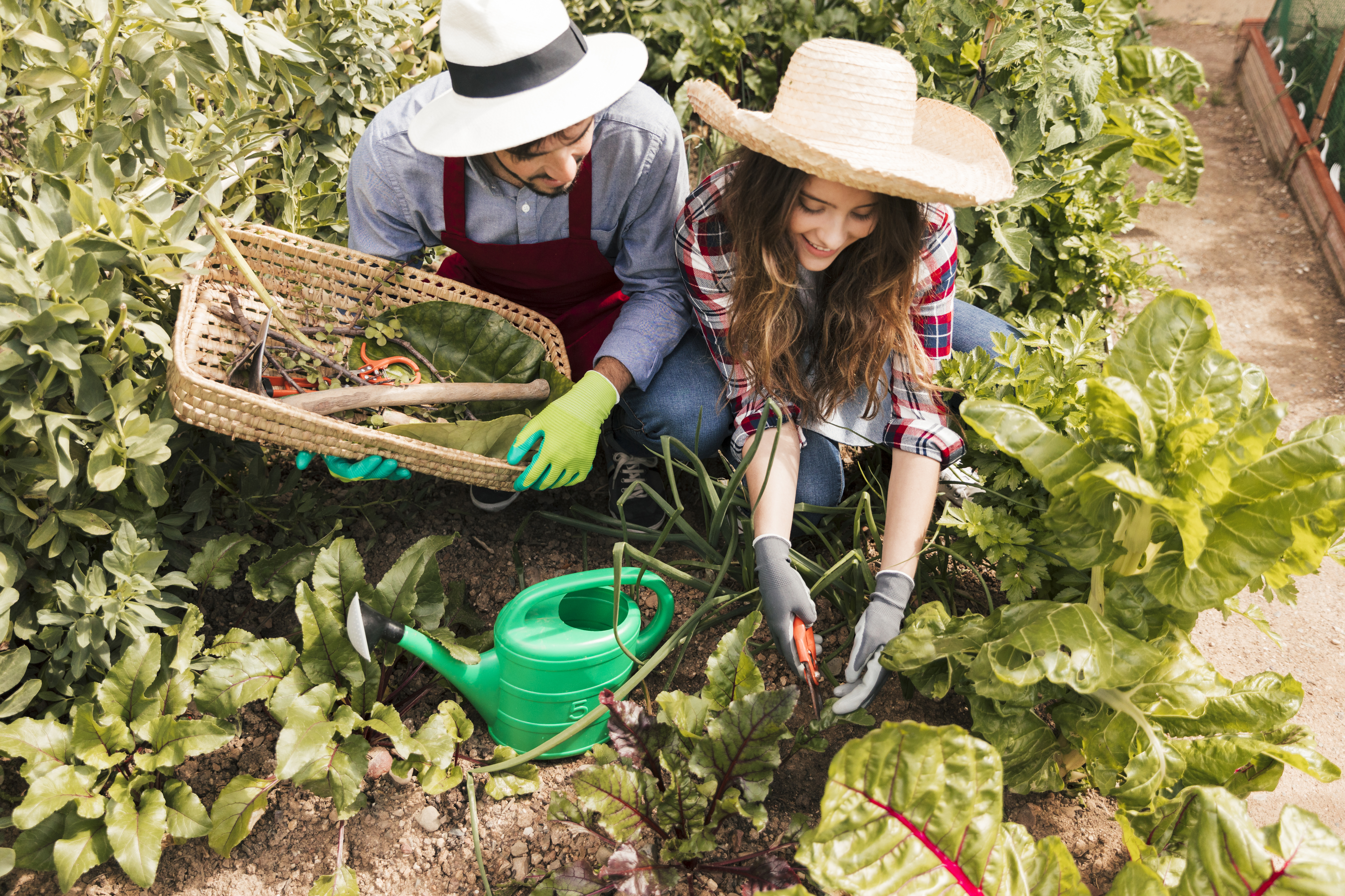 Fundo Comum para Produtos Básicos abre inscrições para projetos de apoio a pequenos agricultores 