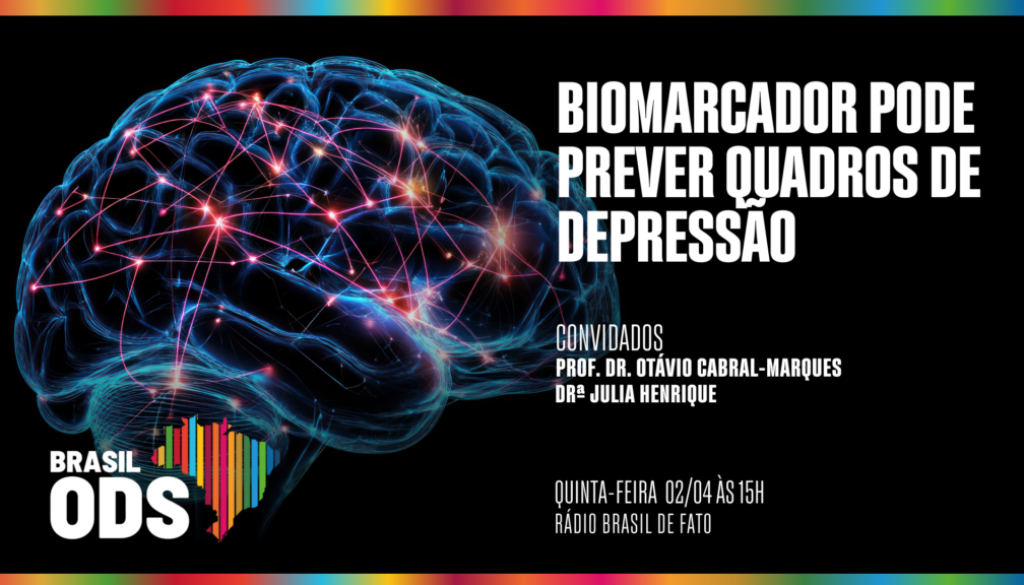 Capa programa