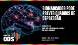 Capa programa